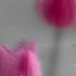 Meet your Posher, Suhey